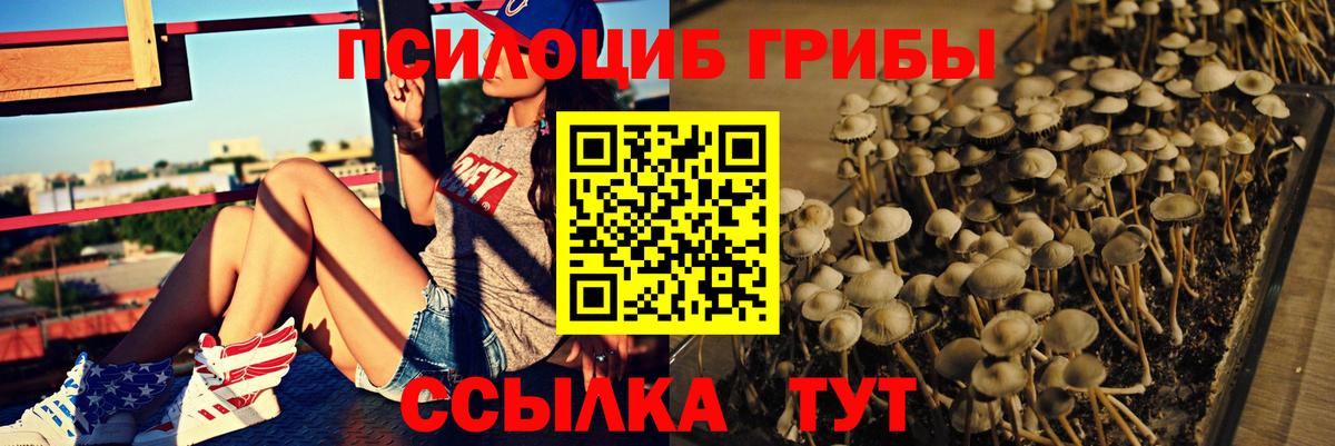 Галлюциногенные грибы ЛСД  закладка  Малоярославец  Вход с VPN  Псилоцибиновые грибы Magic Shrooms 