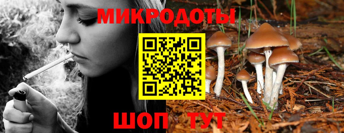Галлюциногенные грибы GOLDEN TEACHER Малоярославец